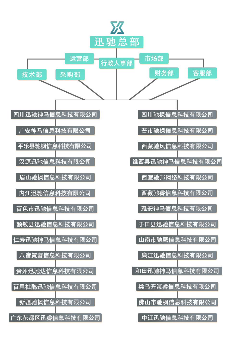 组织架构